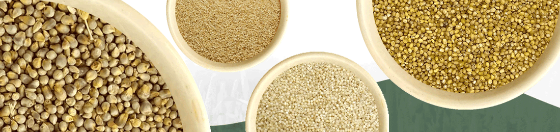 Why Millets Are the Ultimate Superfood: Benefits for Every Stage of Life